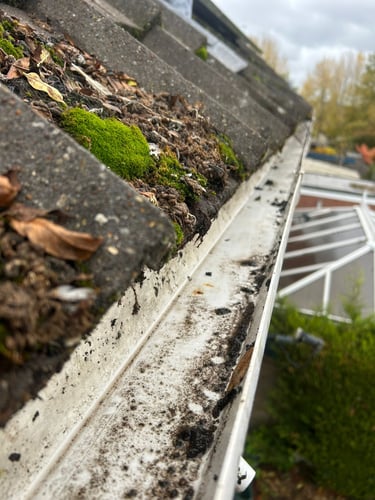 gutter cleared from weeds
