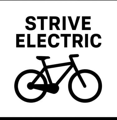 striveelectricagency.com logo