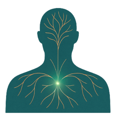 Consciência na Carne logo