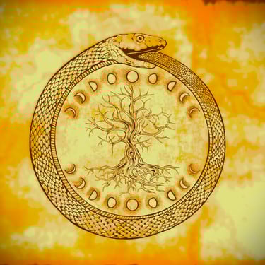 EDUCOLIGHT. psicoterapia e counselling logo