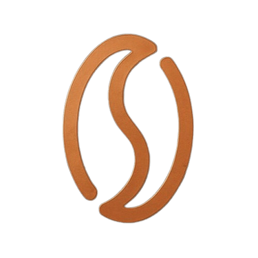 SAN LUIS logo