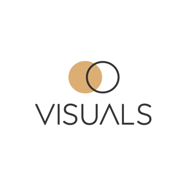 Visuals logo