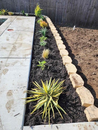 Newly landscaped garden bed with plants.