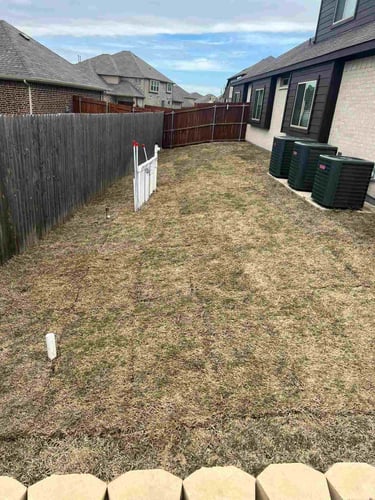 Backyard side yard for landscaping.