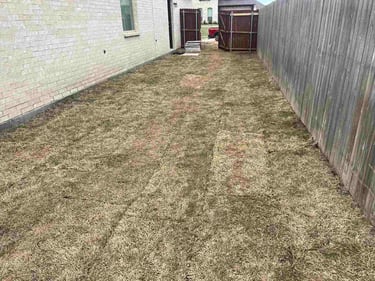 Side yard with patchy grass and wooden fence.
