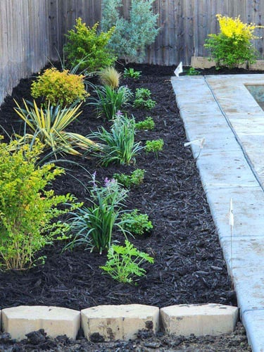 Flowerbed near Concrete Slab