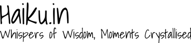 haiku.in logo