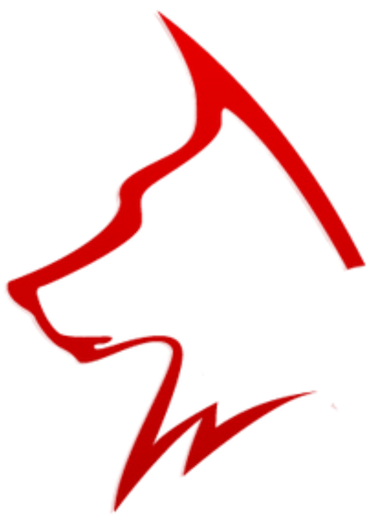 Dynamic K9 LLC logo