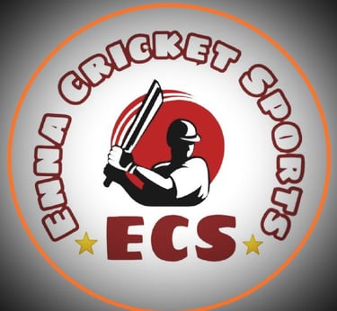 Leather ball manufacturer, Cricket ball manufacturer Meerut. logo