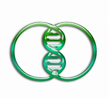 ITP_NET - Digital Service logo