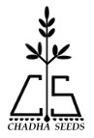 Chadha Seeds logo