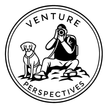Venture Perspectives logo