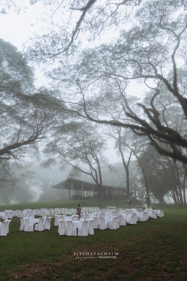 ช่างภาพน่าน ตากล้องน่า่น รับงานถ่ายภาพ