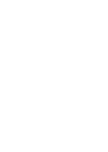 Colégio Sir Isaac Newton  logo