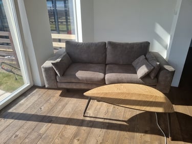  Baldai1 sofa ir ikea staliukas