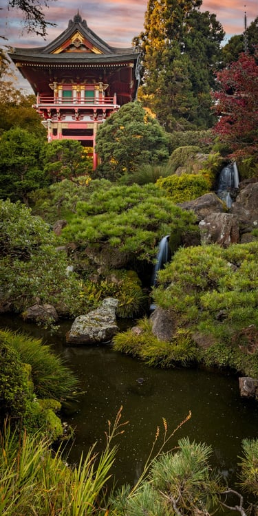 EVENING IN THE GARDEN