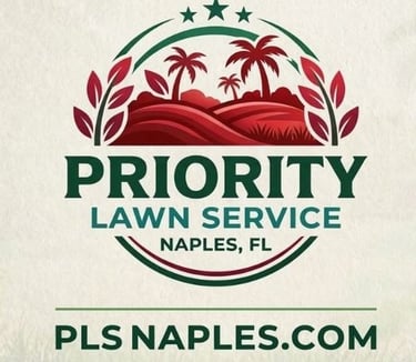 Pls Naples logo