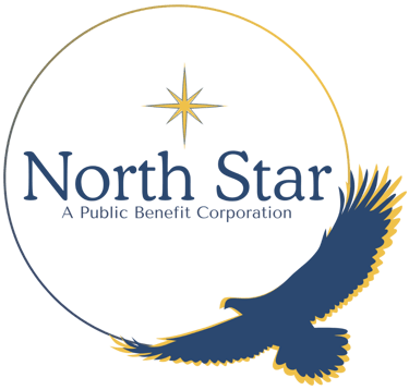 North Star Public Benefit Corporation logo