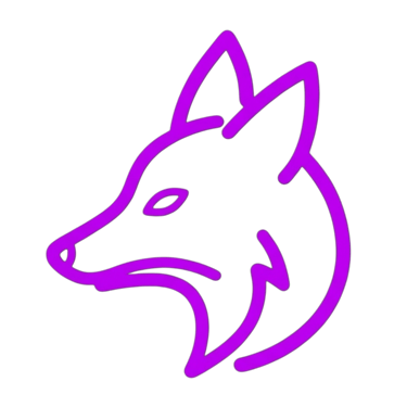 Nocturna logo
