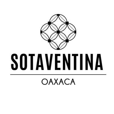 VientoSutil logo
