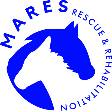 Mares Zim logo