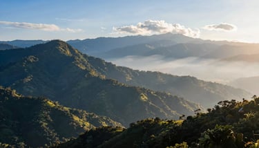 A symbolic image of a bridge connecting two sides, designed with a corporate and hopeful aesthetic using the brand palette.
