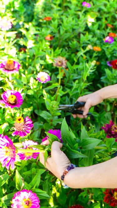 L'atelier nature, reportage photo, jolies campagnes, Sarthe, Anjou