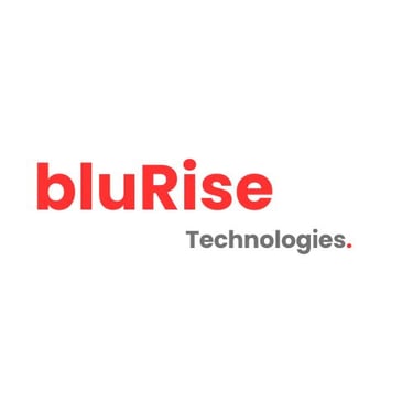 bluRise Technologies logo