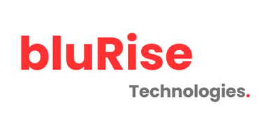 bluRise Technologies logo