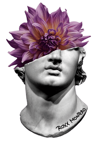 Navaja Creativa logo