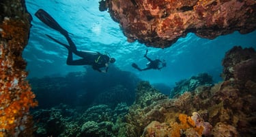 Scuba divers exploring a vibrant Red Sea coral reef cave in clear blue tropical ocean water.
