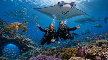 Scuba divers swim with a manta ray, sea turtle, and whale shark over a coral reef in Maldives.