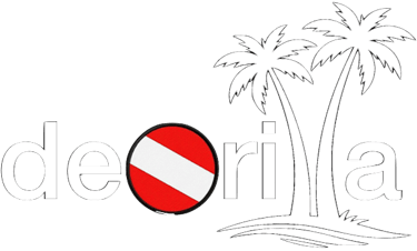 De Orilla | Diving, Photography, Engineering & Ocean Exploration logo