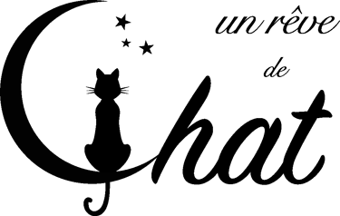ChatNid logo