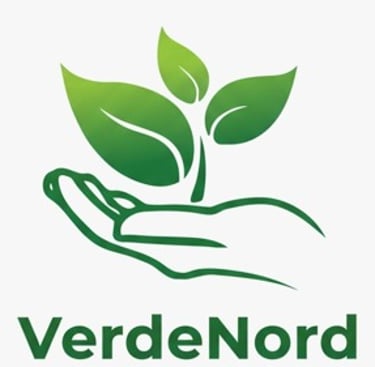 VerdeNord Soluções Ambientais logo