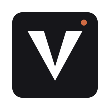 Vanzzini - Importamos y representamos tu marca en Chile logo