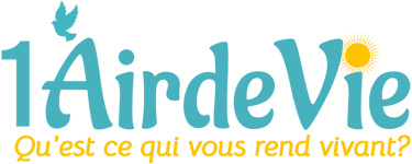 1airdevie logo