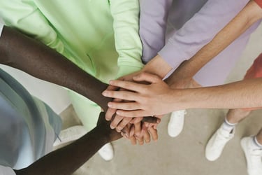 Skool - La quête des sentinelles