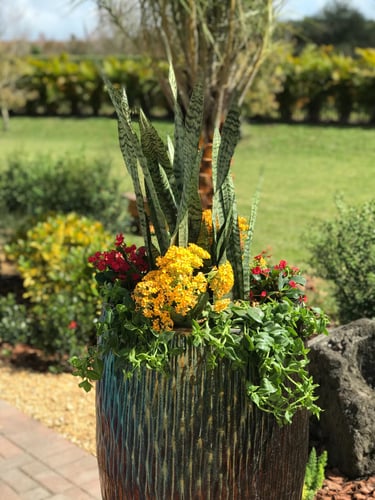 A tall outdoor ceramic planter featuring a snake plant, yellow kalanchoe, and red flowers in a garden.