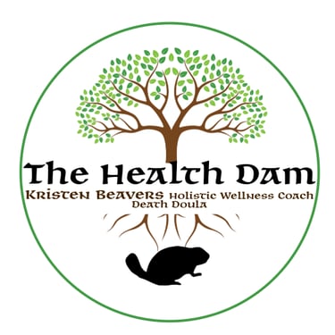 The Health Dam logo