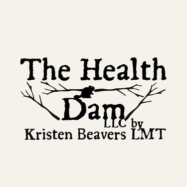 The Health Dam logo