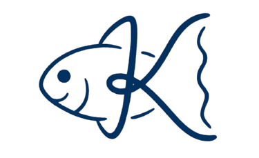 NexaVista logo