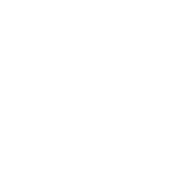 TL logo