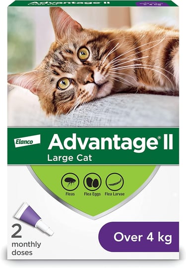 Advantage II Flea Protection for Large Cats weighing over 4 kg