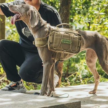 OneTigris Dog Backpack for Medium & Large Dogs, Nylon Backpack for Dogs Tactical Pet Backpack