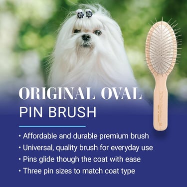 Chris Christensen 35 mm Oval Pin Dog Brush, Original Series, Groom Like a Pro, Stainless Steel Pins