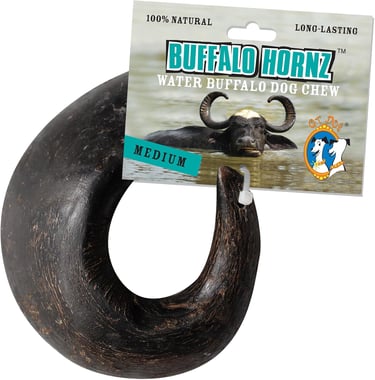 QT Dog Medium Water Buffalo Horn - Long-Lasting 100% All-Natural Dog Chew, Ethically Sourced Protein