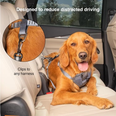 Kurgo Direct To seat belt Tether for Dogs, Universal Car seat belt for Pets, Adjustable Length Dog