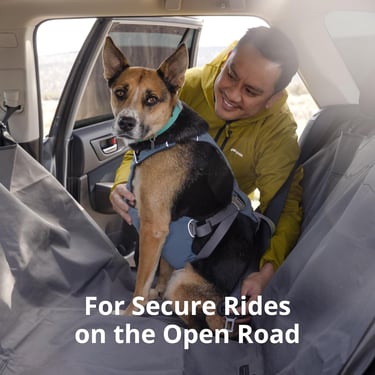 Ruffwear, Load Up Dog Car Harness, Padded Adjustable Travel Restraint with Universal Seat Belt