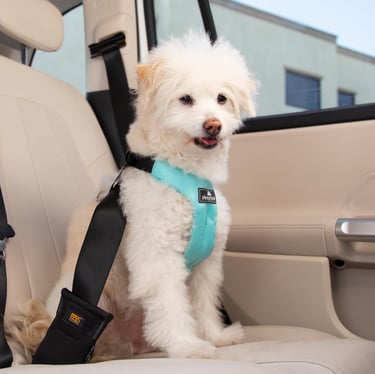 Clickit Sport Plus - Crash-Tested and Safety Certified Car Seat Belt Harness for Dogs
